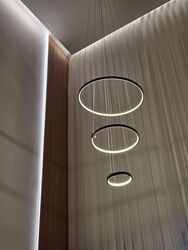 Leedon Green (D10), Condominium #555504711
